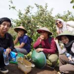 9186a131-686f-4334-bd7c-edcd63ab0fdb